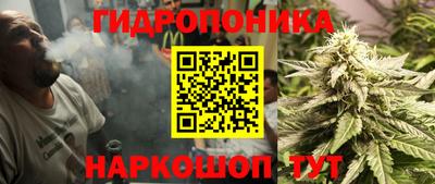 хмурый Кингисепп
