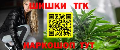 хмурый Кингисепп