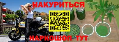 хмурый Кингисепп