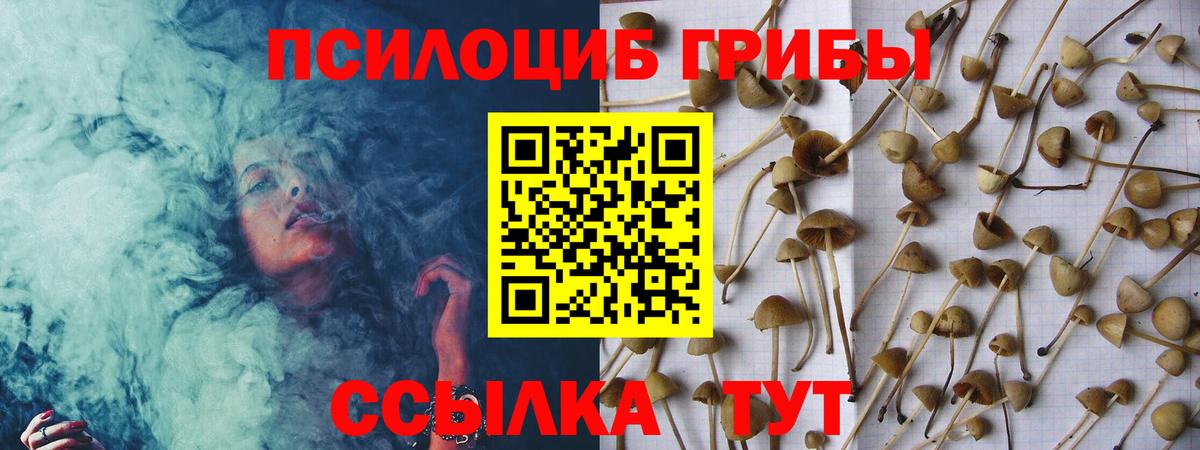 Галлюциногенные грибы MAGIC MUSHROOMS  Вход с VPN  Чистополь 