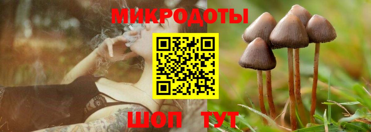 Псилоцибиновые грибы мухоморы Чистополь